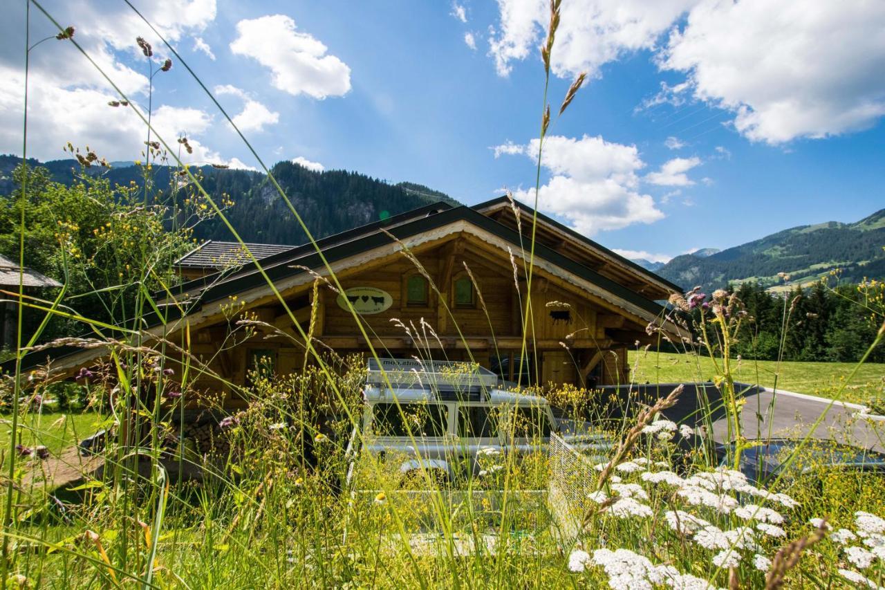 Chalet Carnauba Chatel Exterior photo
